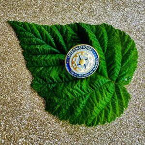 41 International pin