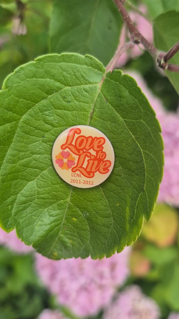 Thema pin 2011-2012