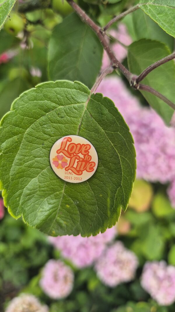 Thema pin 2011-2012 - Afbeelding 3