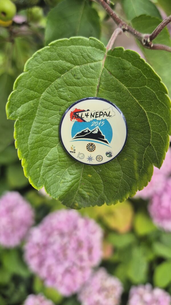 Pin 2015 - Afbeelding 2