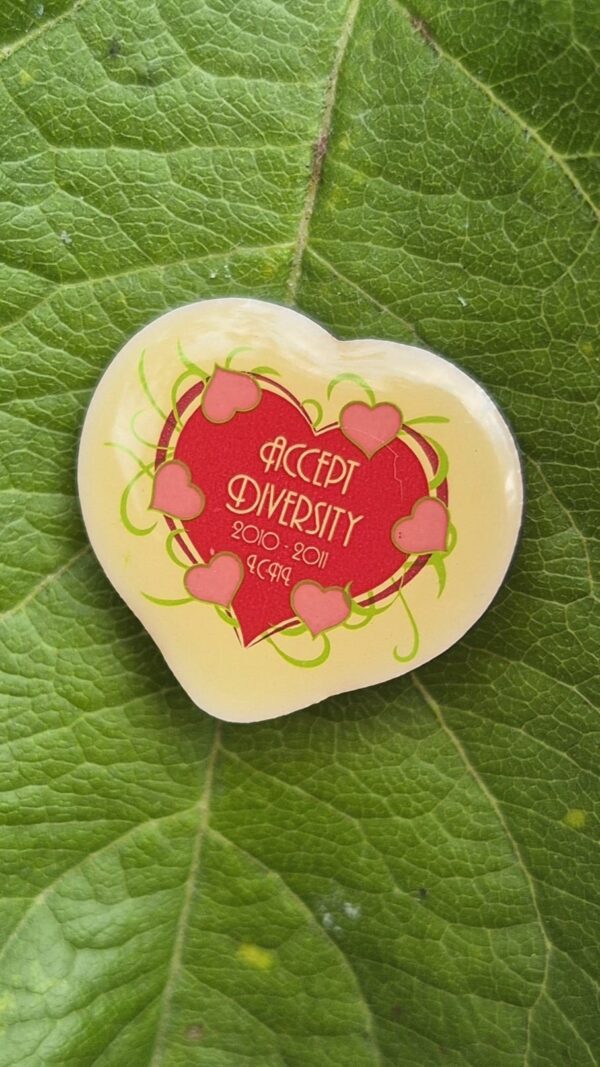 Thema pin 2010-2011