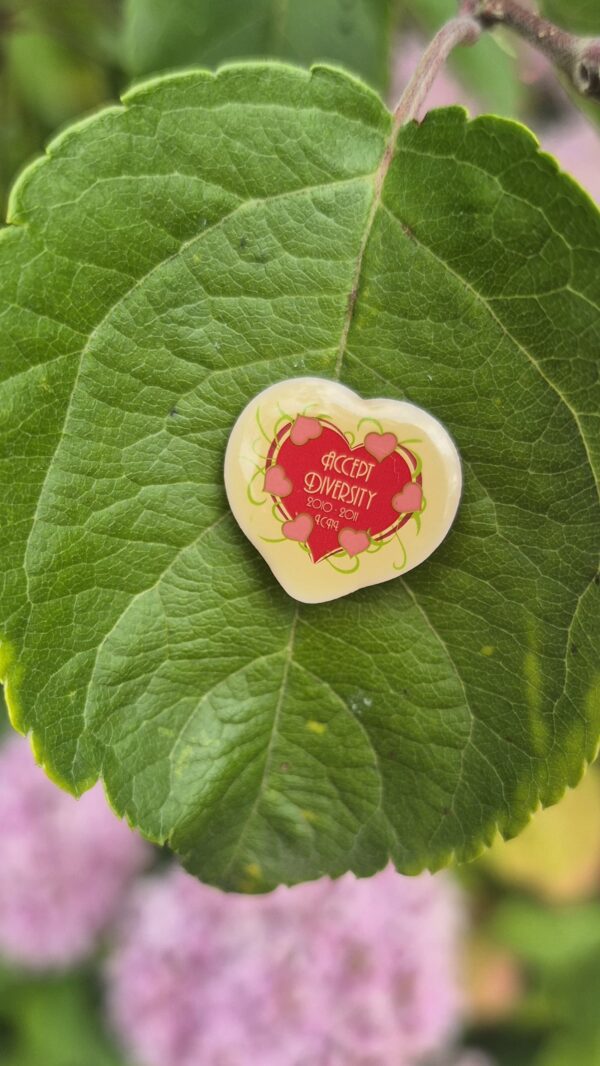 Thema pin 2010-2011 - Afbeelding 4