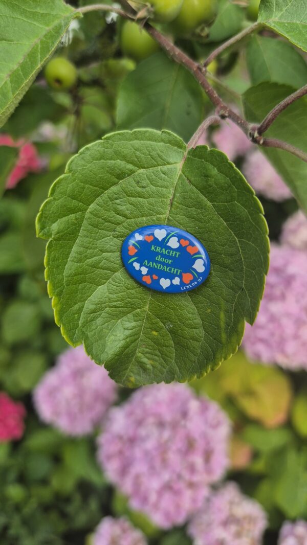 Thema pin 2006-2007 - Afbeelding 2