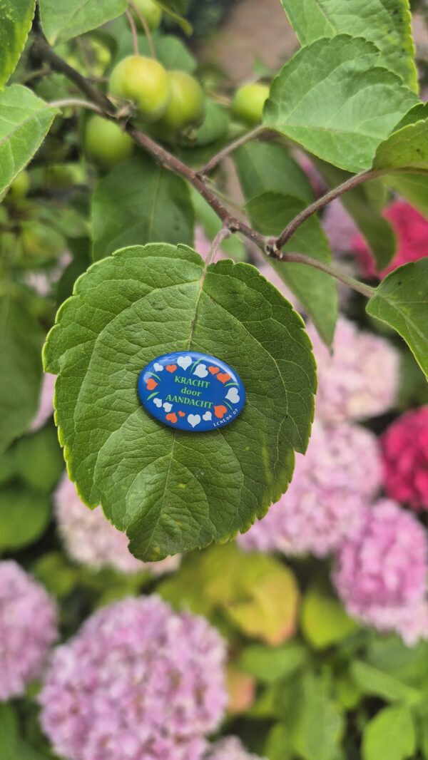 Thema pin 2006-2007 - Afbeelding 4