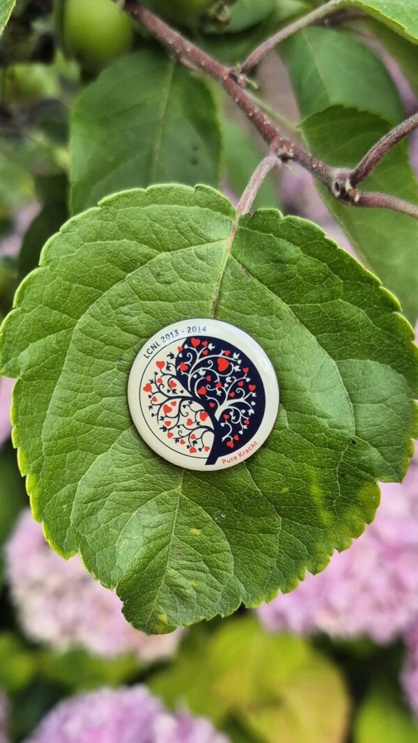 Thema pin 2013-2014 - Afbeelding 2