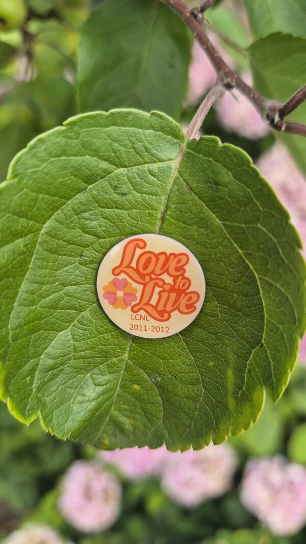 Thema pin 2011-2012 - Afbeelding 2