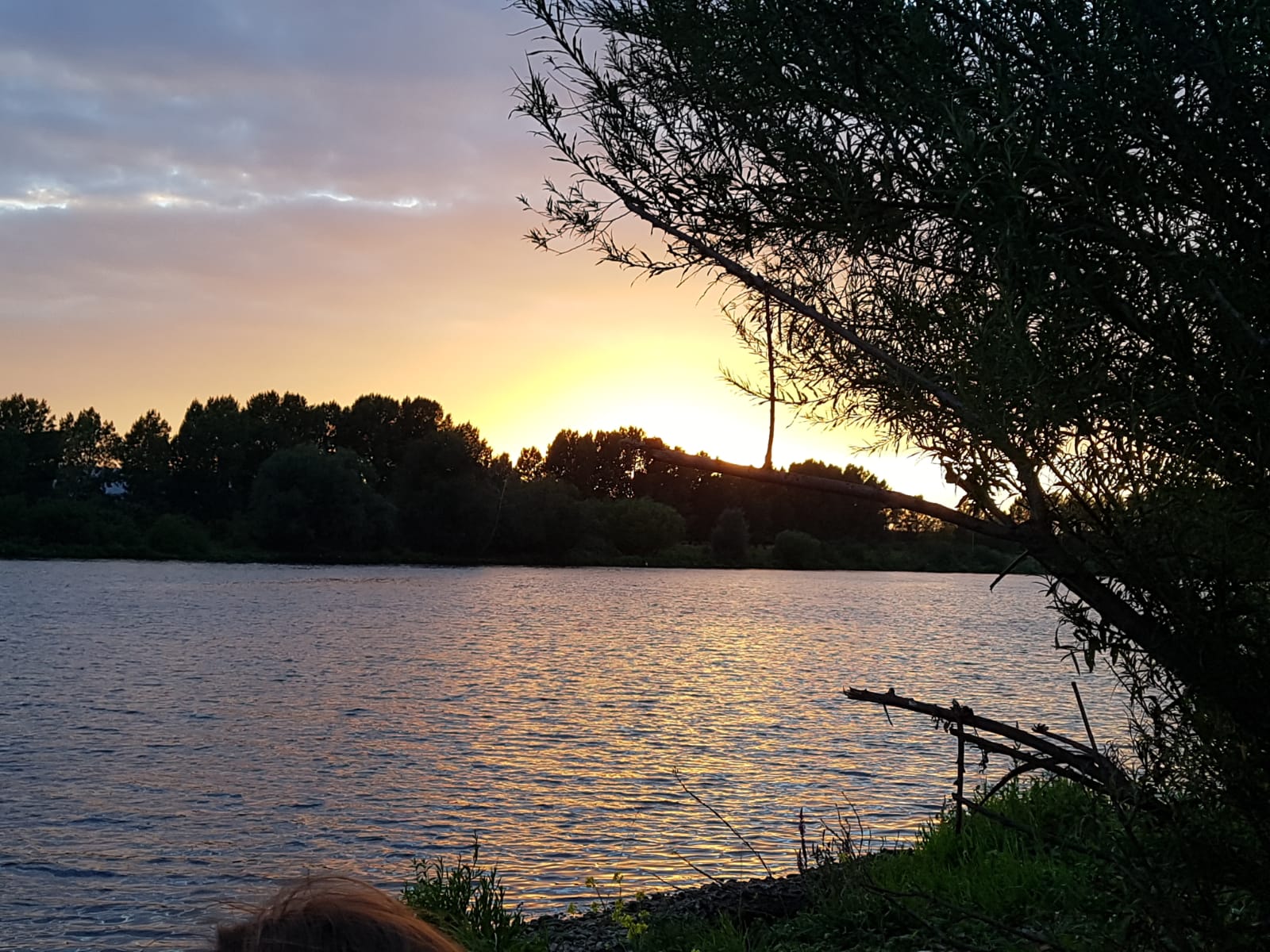 ZomerPicknick1