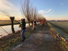 LC35 Wilgen knotten 1